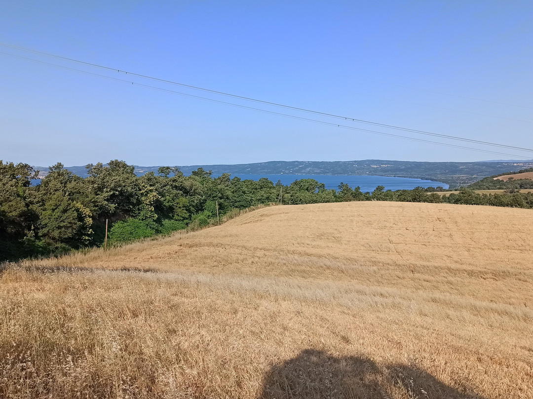 Bed & Breakfast Podere Ospedaletto主图