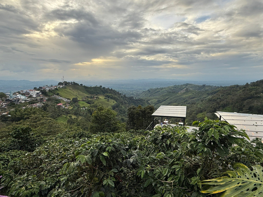 Cafe San Alberto-布埃纳维斯塔必去景点