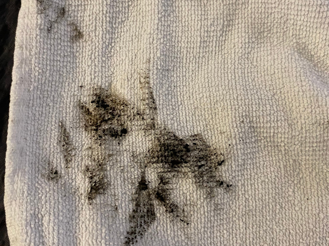 Super 8 by Wyndham Galesburg