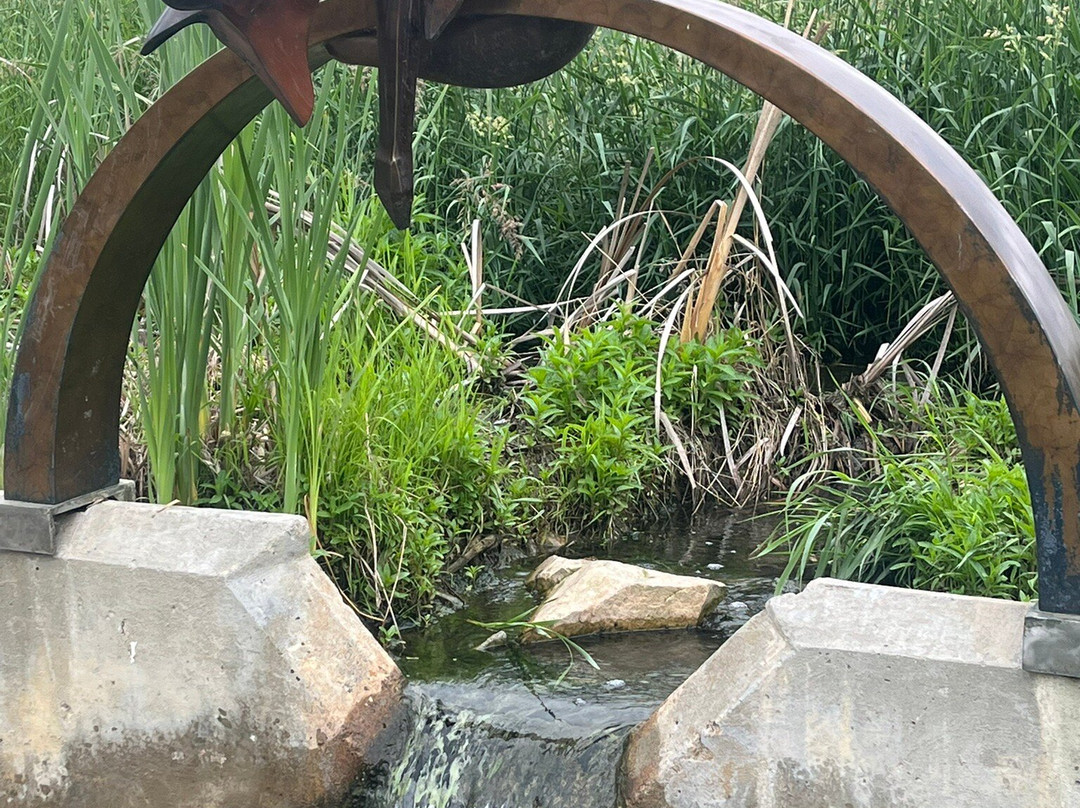 Benson Park Sculpture Garden-拉夫兰必去景点