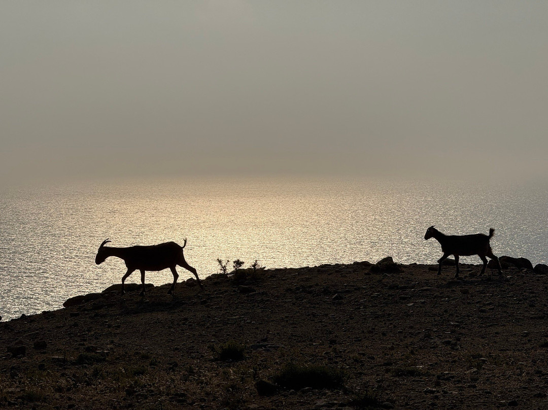 Thea's Inn of Ikaria主图