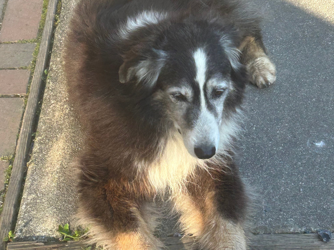 Blue Blaze Bicycle & Shuttle Service-Damascus必去景点