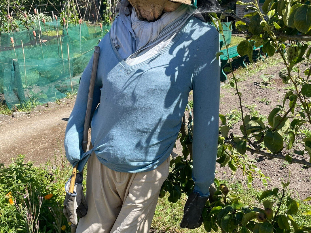 Victorian Walled Kitchen Garden-Castel必去景点