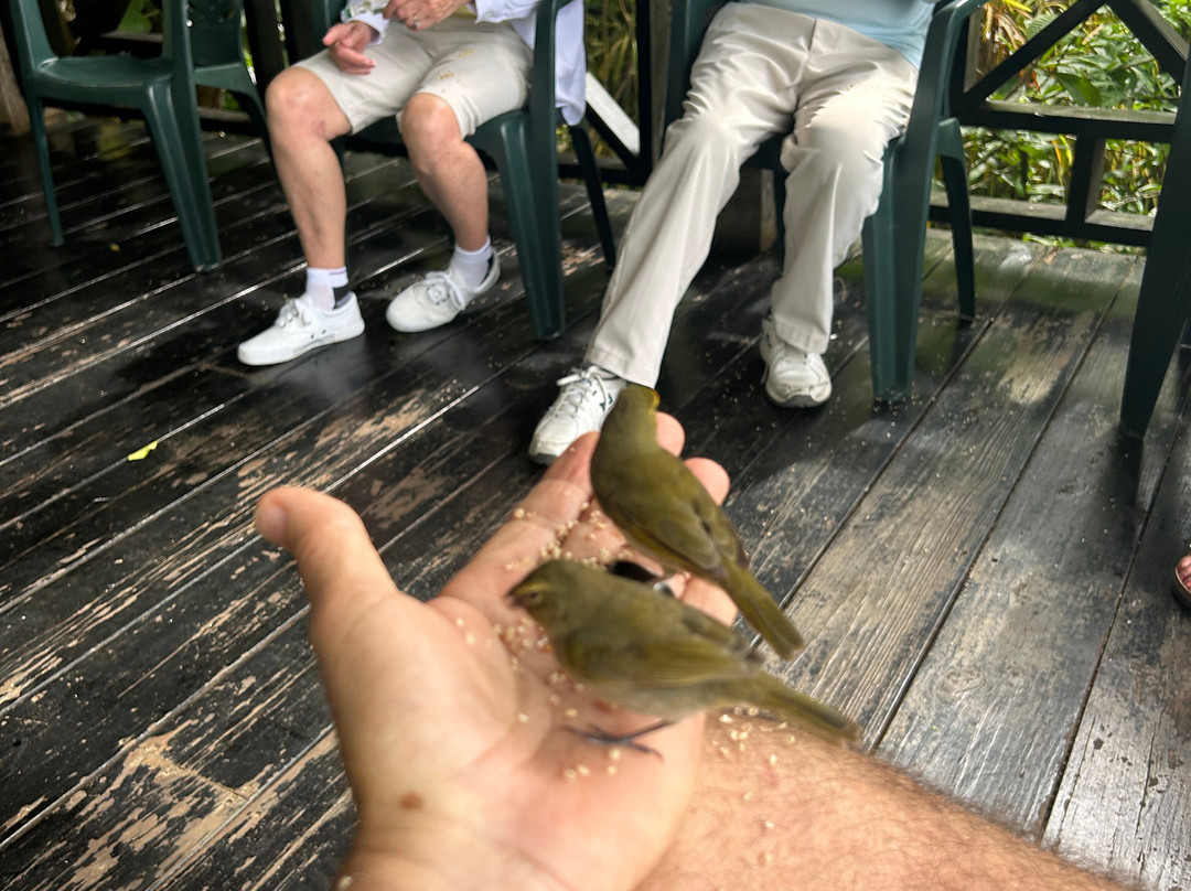 罗克兰兹鸟类保护区-Wiltshire必去景点