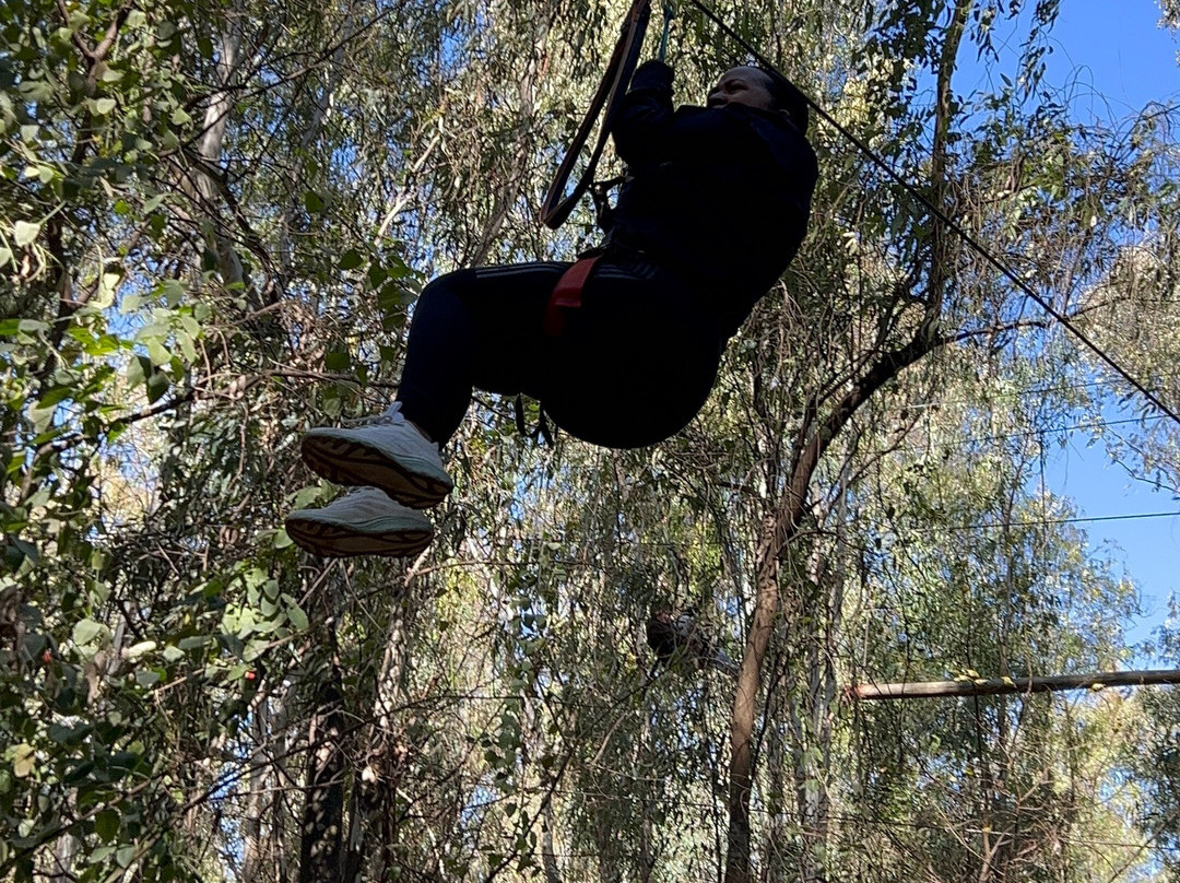 Acrobranch Centurion-三图里恩必去景点