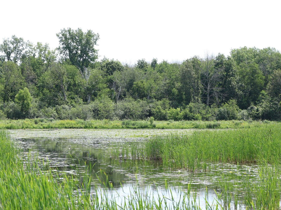 Barkhausen Waterfowl Preserve-Suamico必去景点