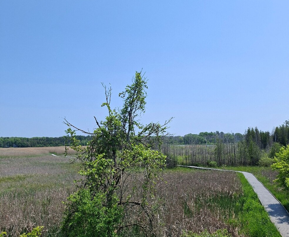 Presqu'ile Provincial Park-Brighton必去景点