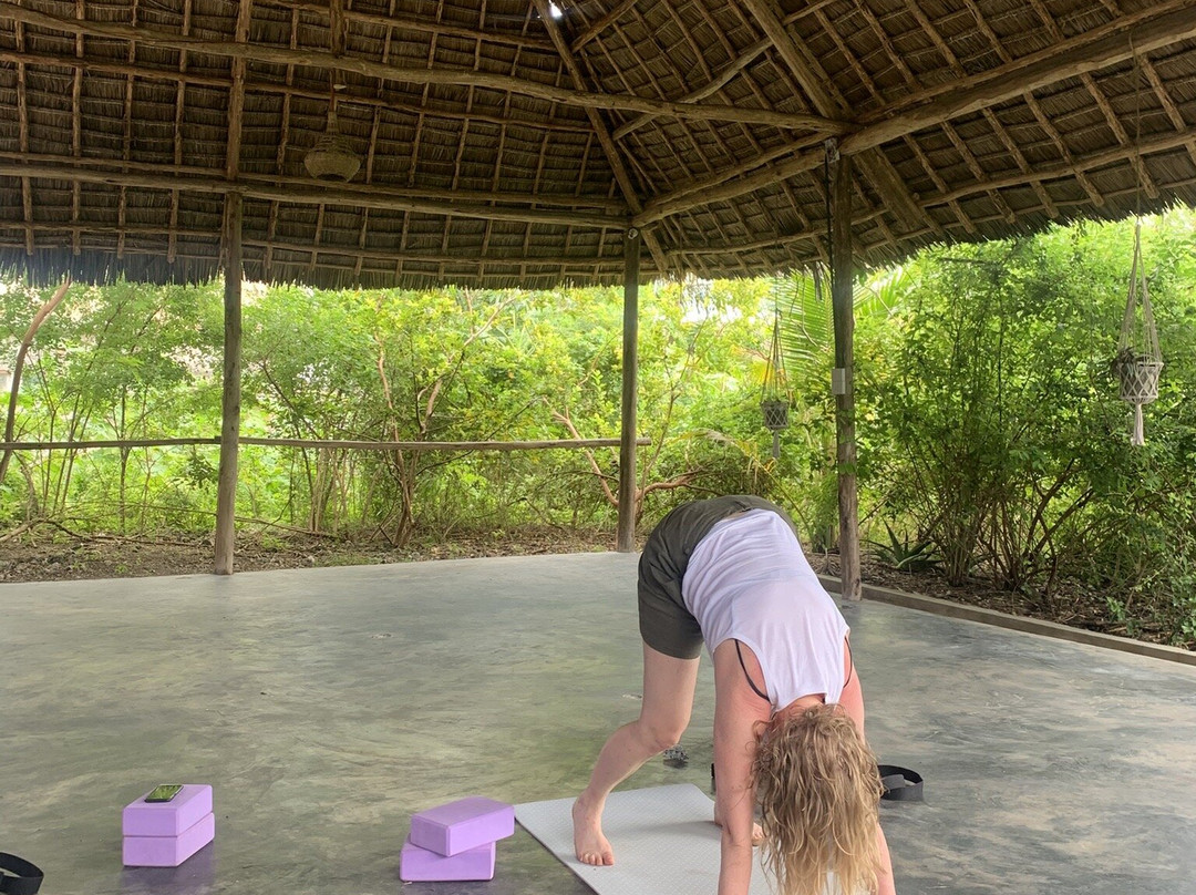 Yoga&Gym Zanzibar-必韦久必去景点