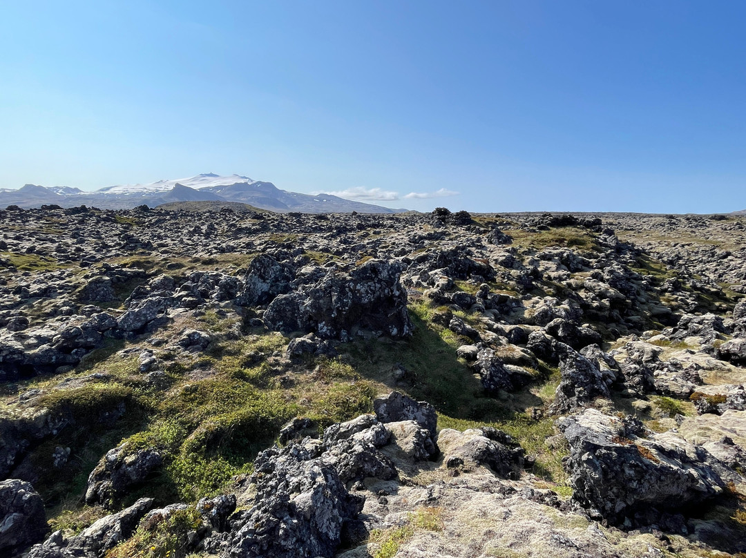 Fiskibyrgi-Snaefellsbaer必去景点