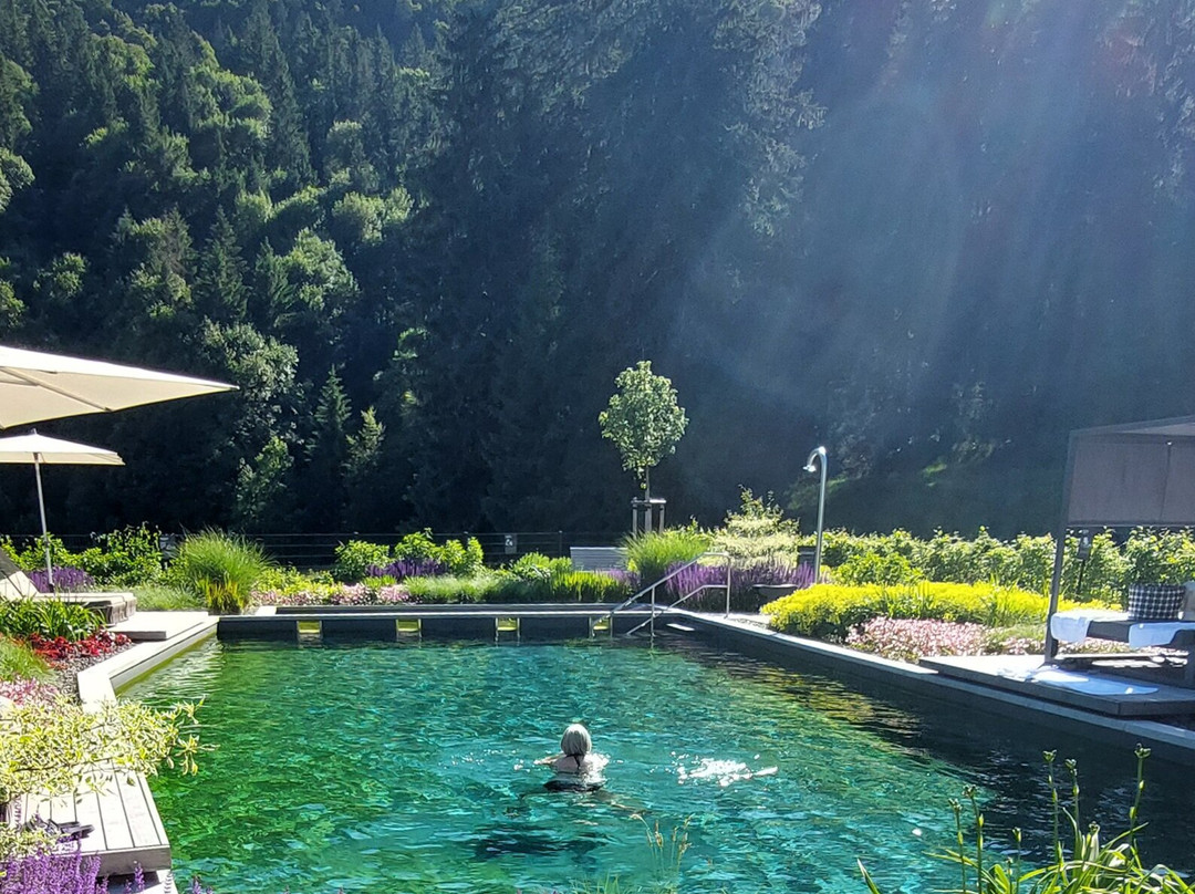 Belchenhotel Jaegerstueble主图