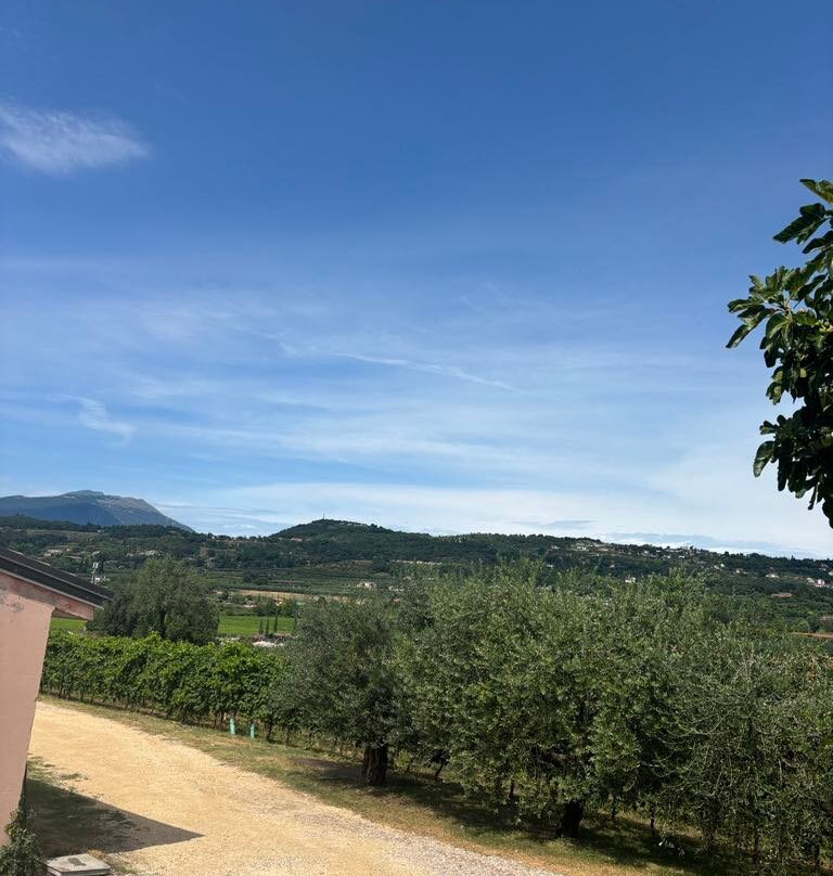 Azienda Agricola Costadoro-巴尔多利诺必去景点