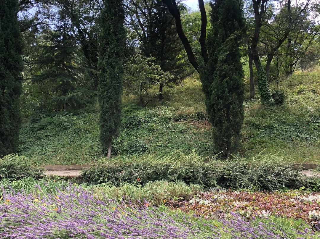 National Botanical Garden of Georgia-第比利斯必去景点