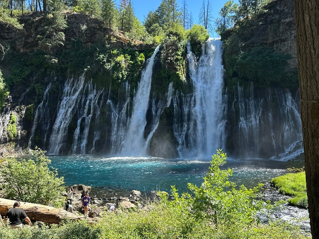 Shasta-Trinity National Forest-芒特沙斯塔必去景点