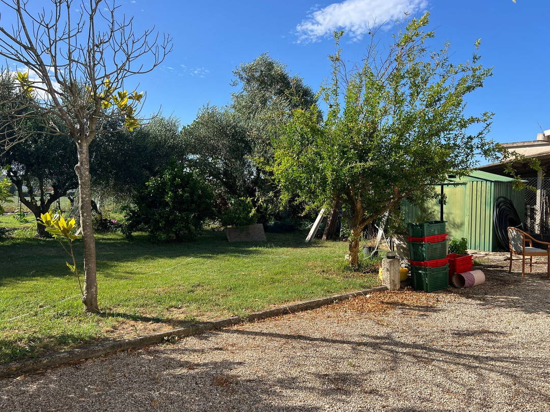 B & B Sotto le Stelle主图