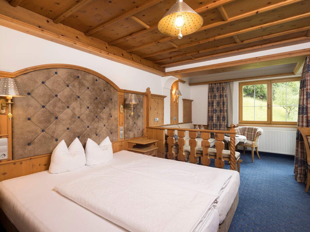 Hotel Silberberger主图