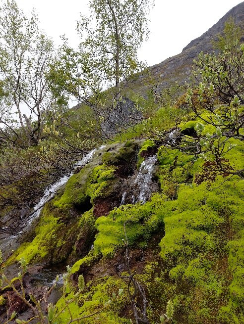 Bolshoi Vudyavr Lake-Kirovsk必去景点