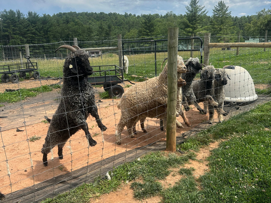 Glendale Ridge Farms-Jefferson必去景点