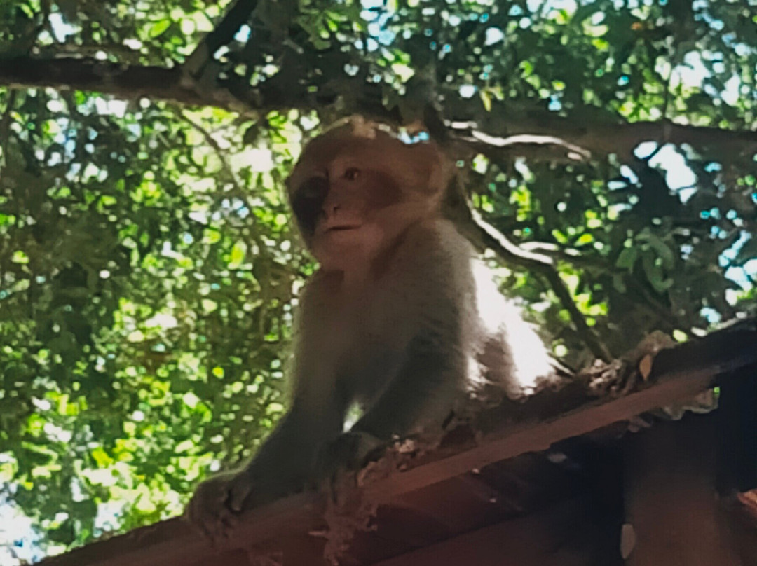 安库尔小瀑布-舍夫沙万必去景点