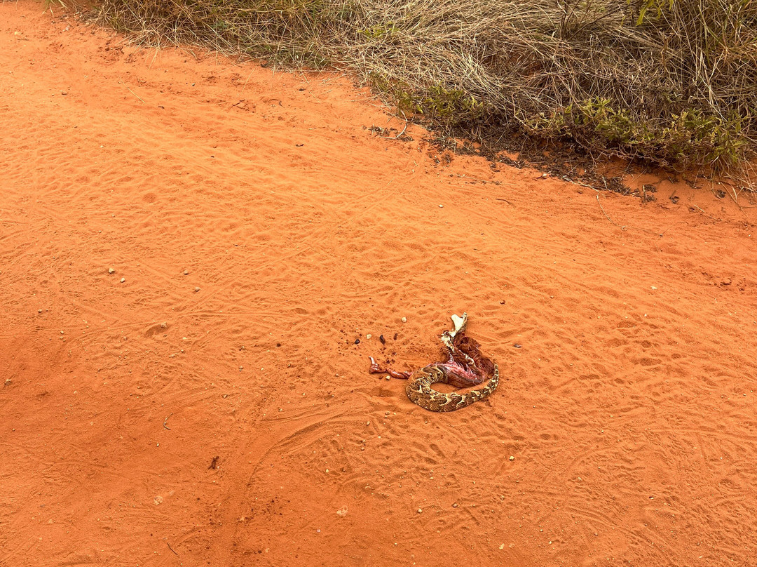 KLM Tours & Safaris-山祖必去景点