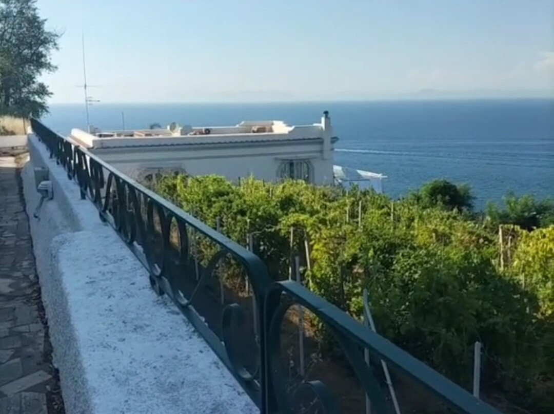 Hotel Villa Ireos主图