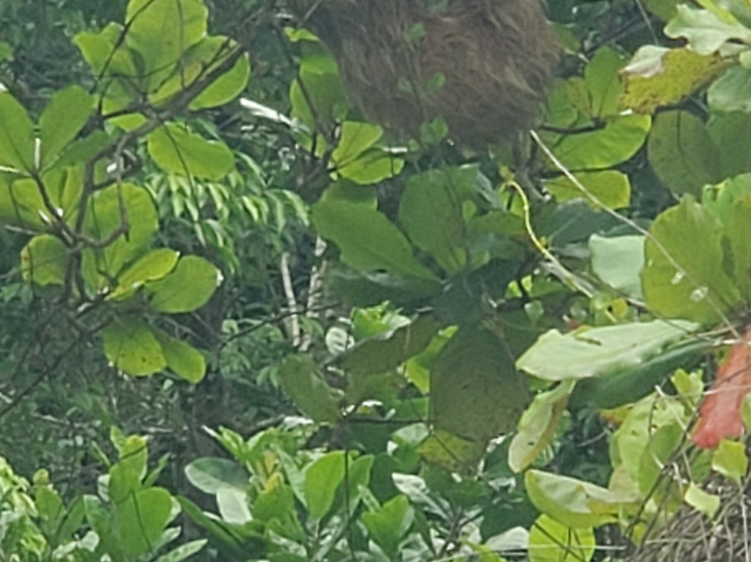 2amigos Overland Tours-帕利塔必去景点