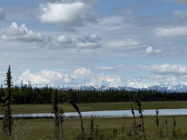 Denali Gold Tours-Trapper Creek必去景点
