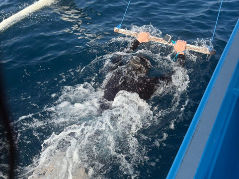 Dolphin Boat Lovina-罗威那海滩必去景点