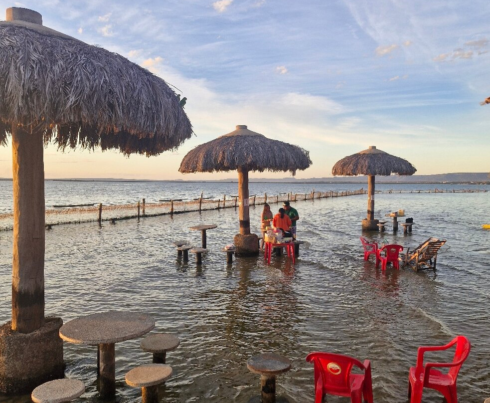 Ilha Canela-Palmas必去景点