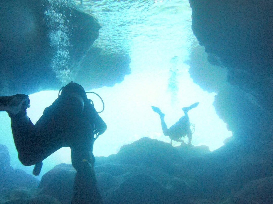 Royal Octopus DIVE CENTER-Kolymbari必去景点