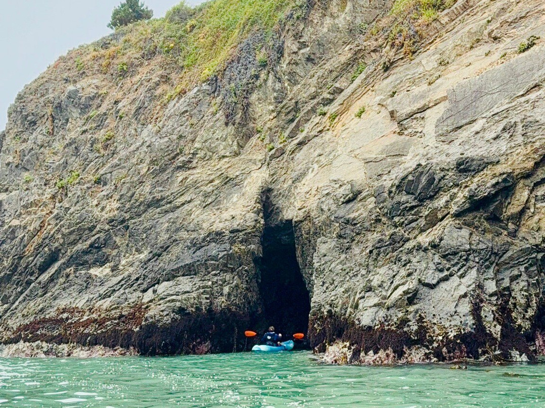 Kayak Mendocino-Little River必去景点