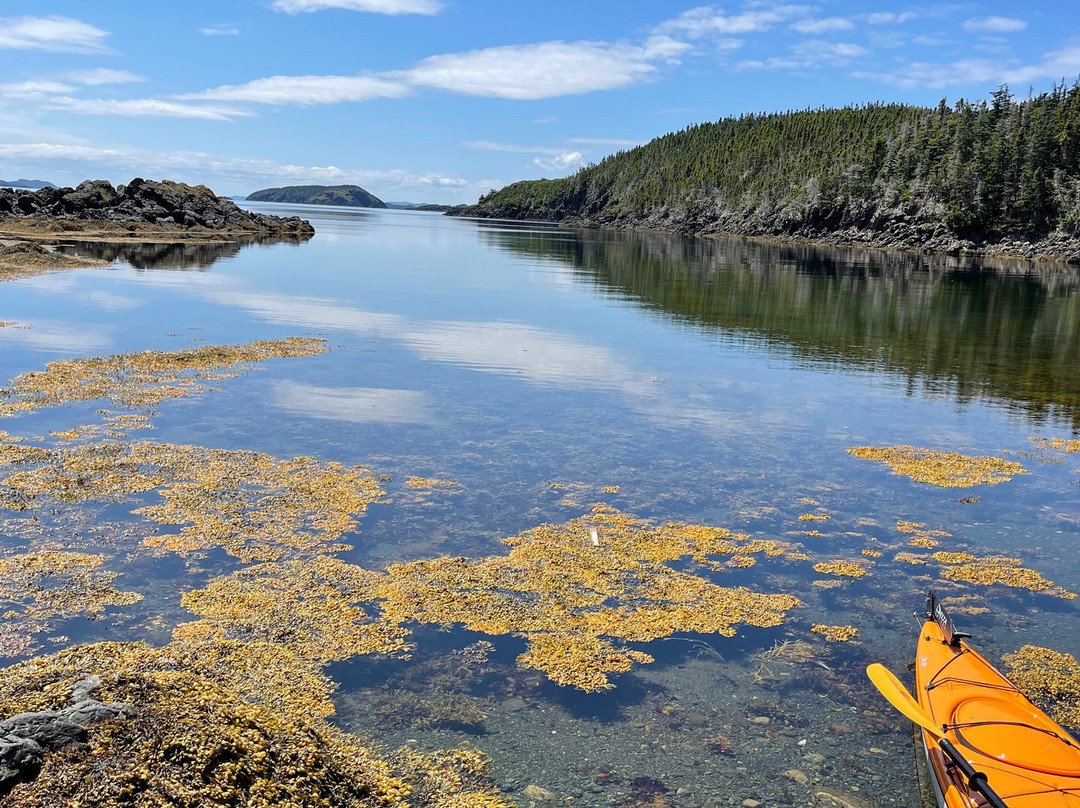 Adventures Newfoundland-Fortune Harbour必去景点