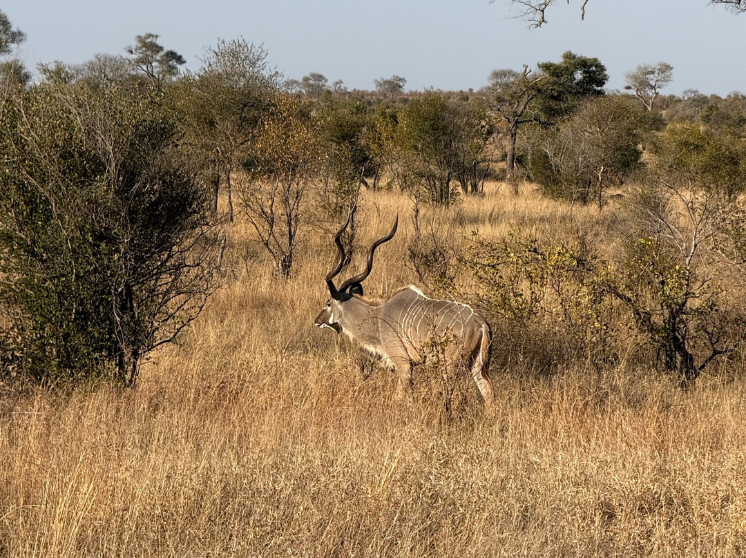 Paw Safaris-霍德斯普鲁特必去景点
