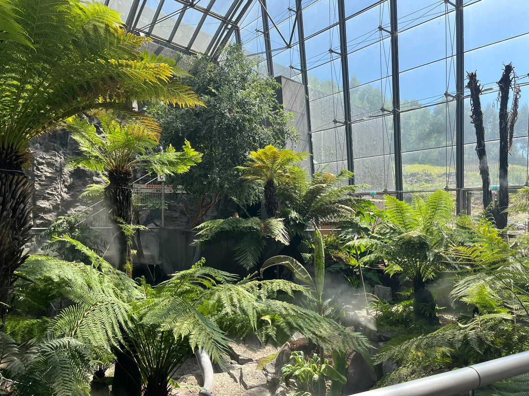 Vulcania-Saint-Ours必去景点