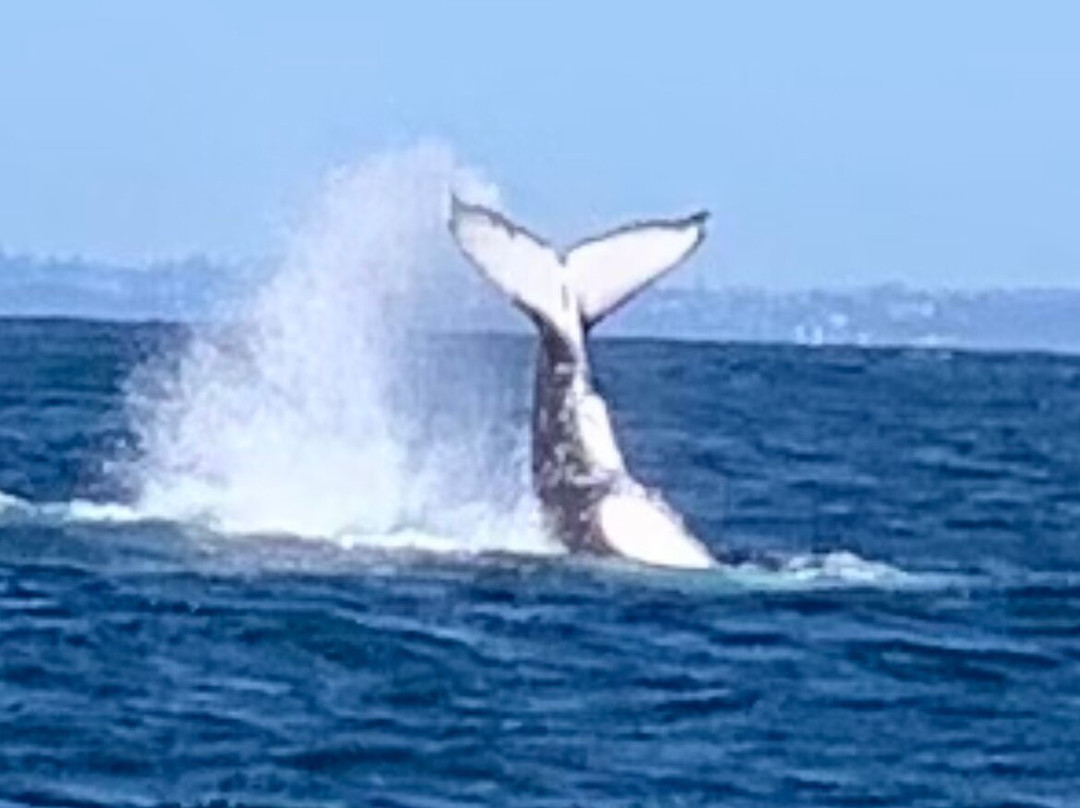 Aria Cruises-克利夫兰必去景点