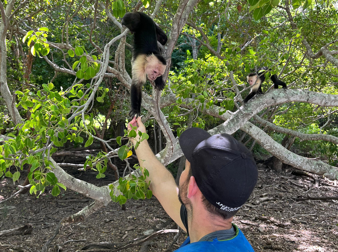 Tours Your Way-Playas del Coco必去景点
