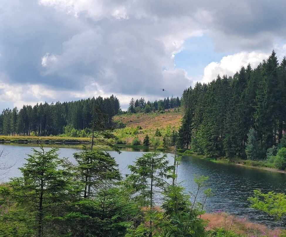 Liebesbank Trail-Hahnenklee-Bockswiese必去景点