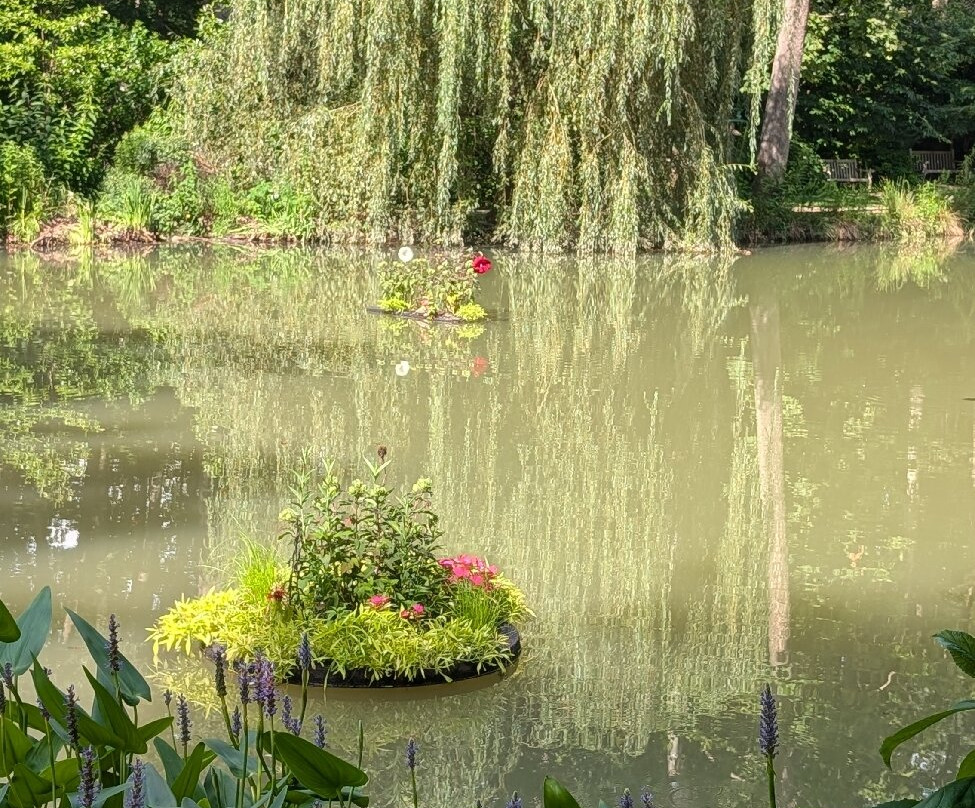 Edith J. Carrier Arboretum-哈里森堡必去景点