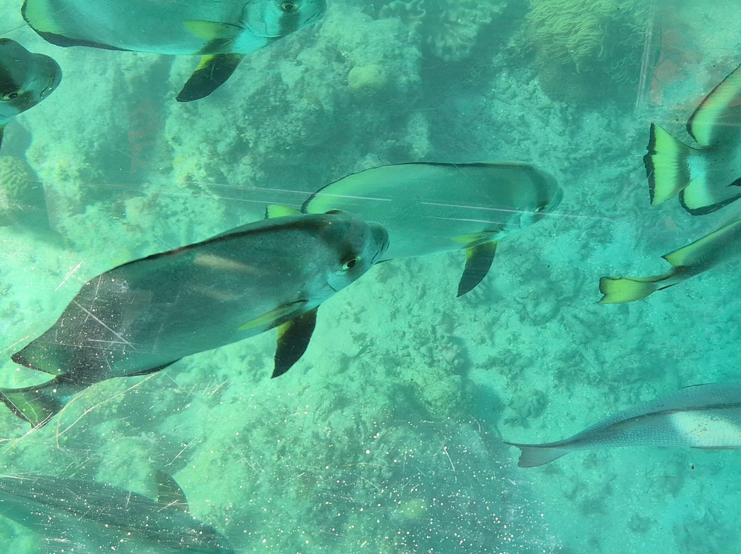 Great Adventures-绿岛必去景点