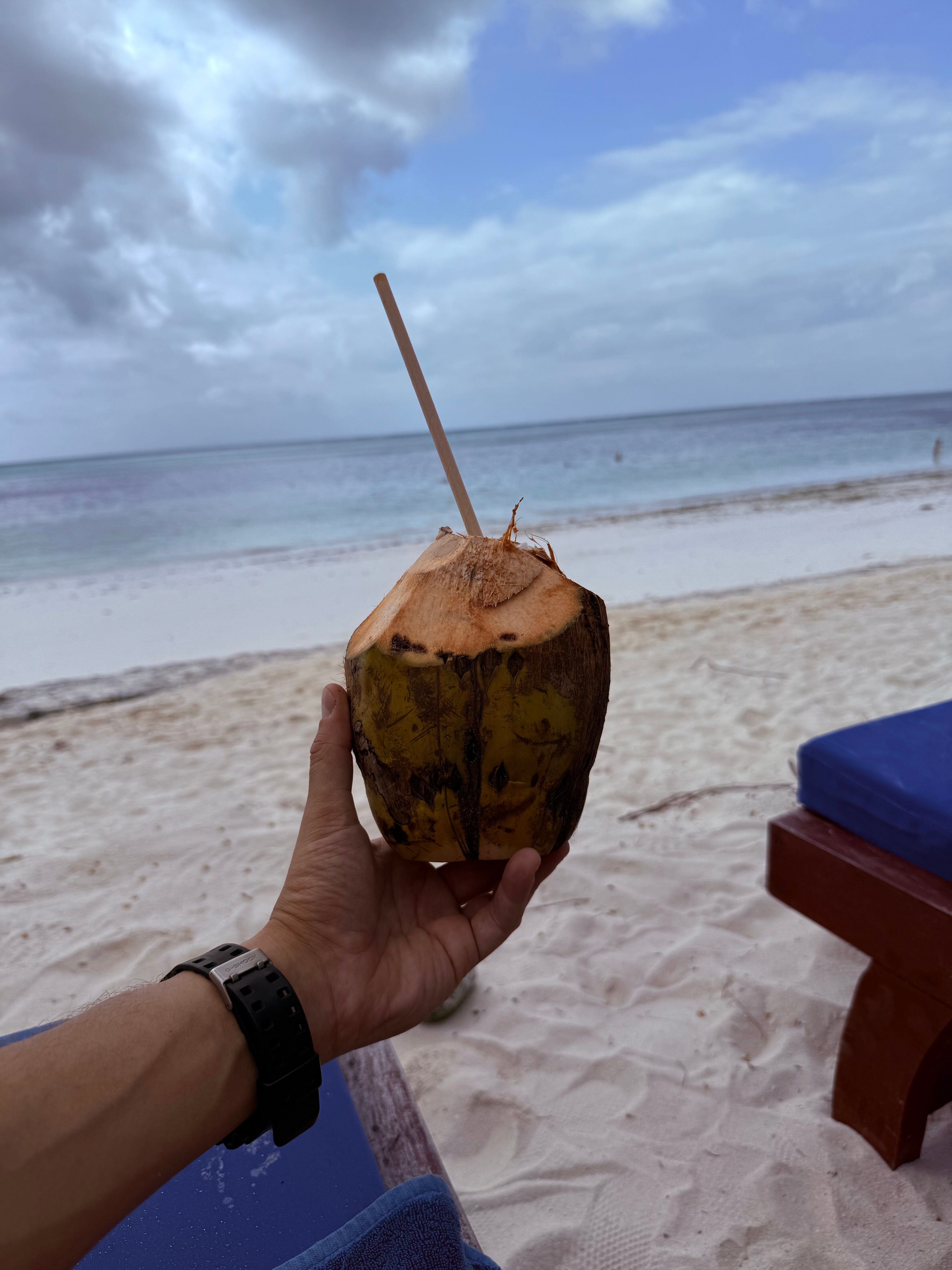 Neptune Pwani Beach Resort - Spa-官方