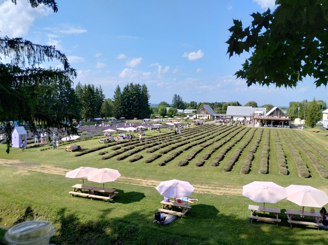 La Maison Lavande-Saint-Eustache必去景点