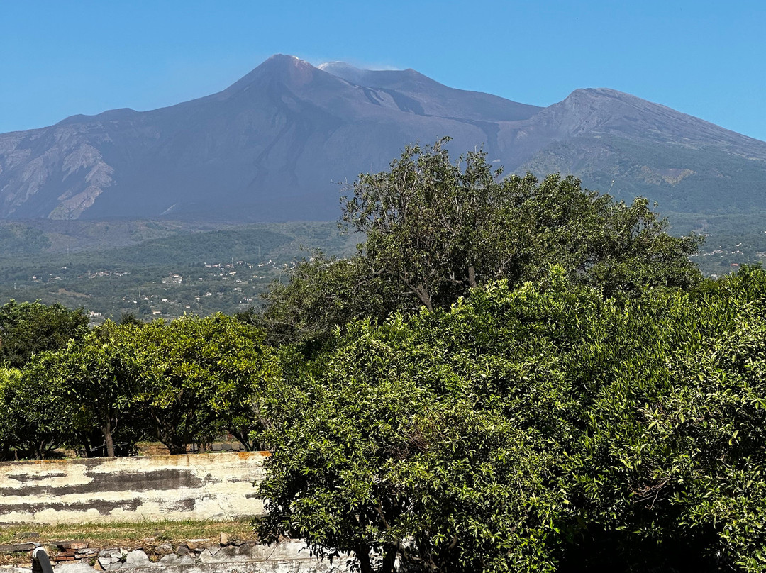 Giardino Arancio主图