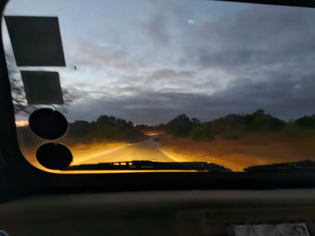 On Safari Africa - Kruger National Park-马里兰必去景点