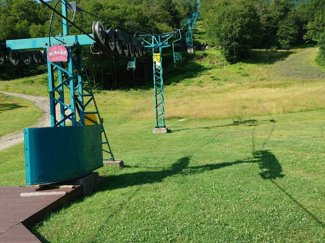 Mad River Lodge主图