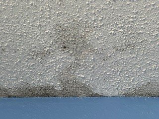 托灵顿戴斯酒店主图