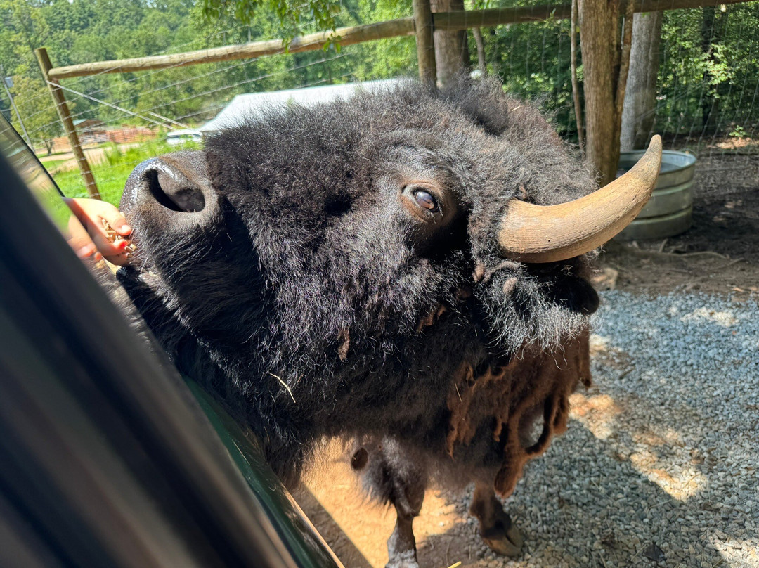 North Georgia Wildlife Park-Cleveland必去景点