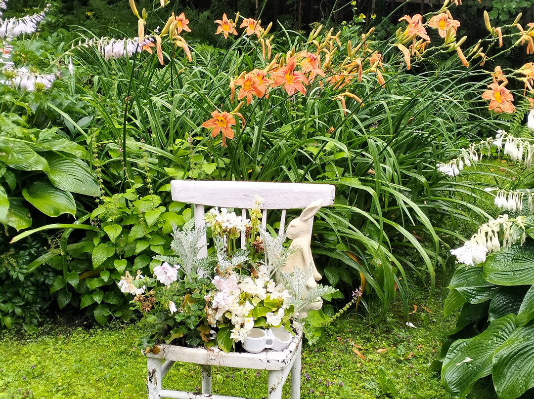 Botanical Garden of Tver State University-特维尔必去景点