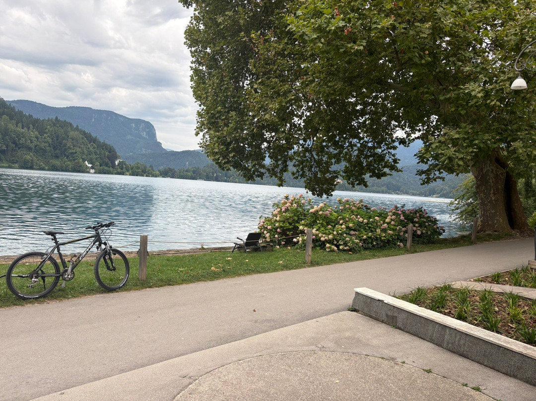 Vila Prešeren Bled主图