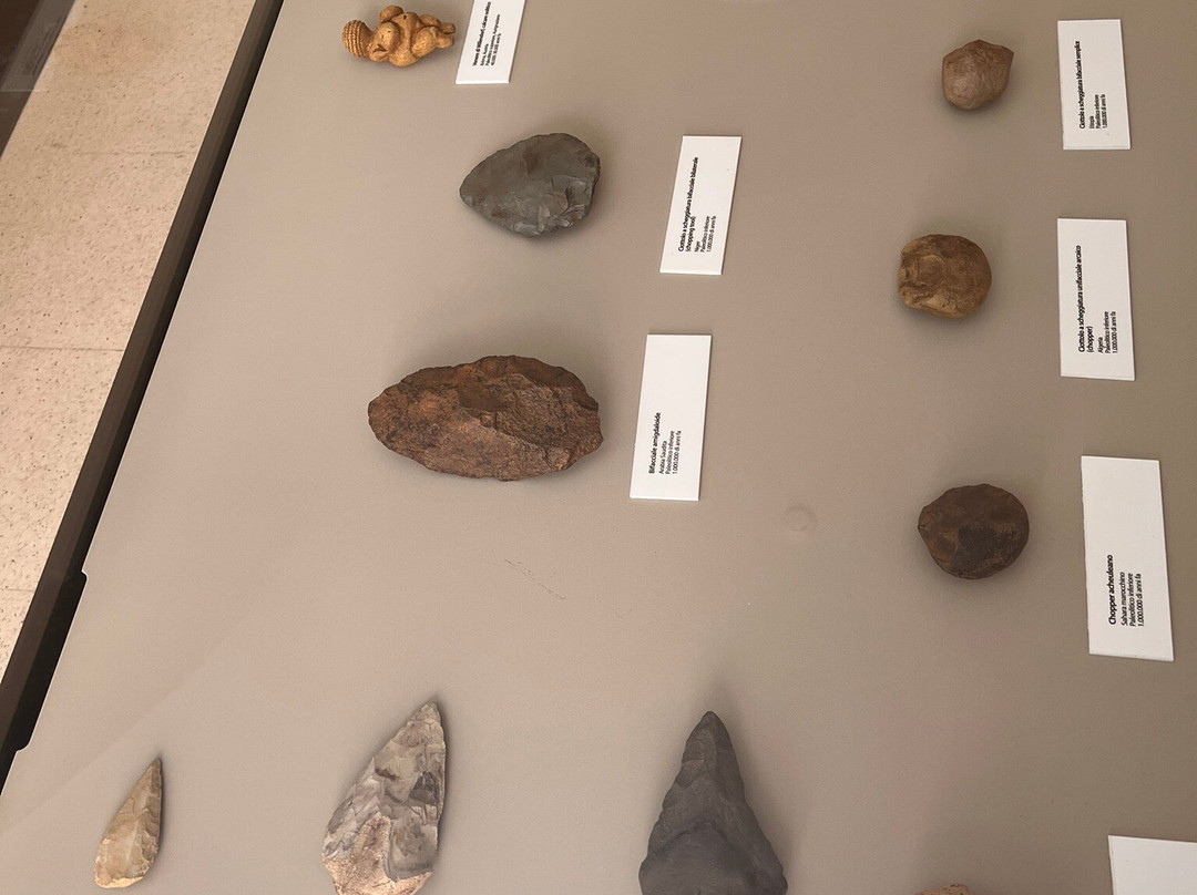 Palazzo Baldassarre-阿尔塔穆拉必去景点