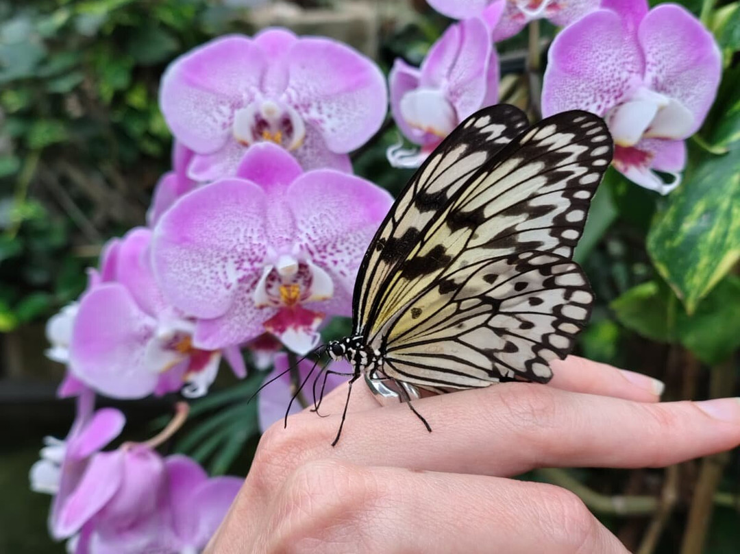 Casa delle Farfalle-Bordano必去景点