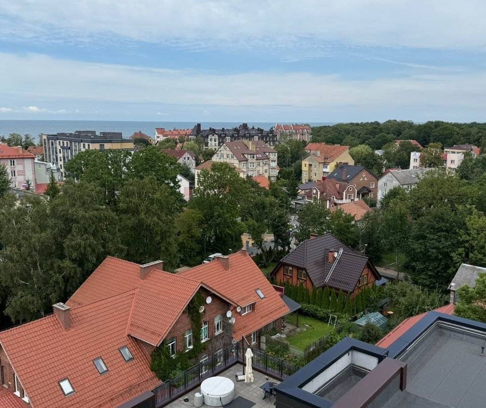 Murarium Art-Collection of Cats-泽列诺格拉茨克必去景点